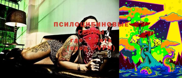 Альфа ПВП Арсеньев