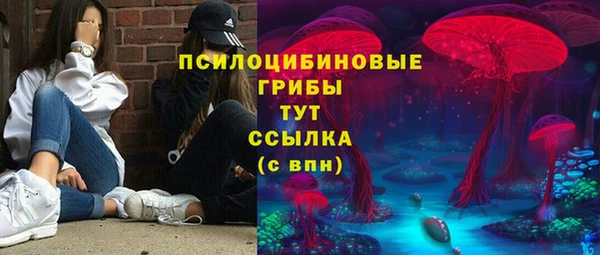 Альфа ПВП Арсеньев