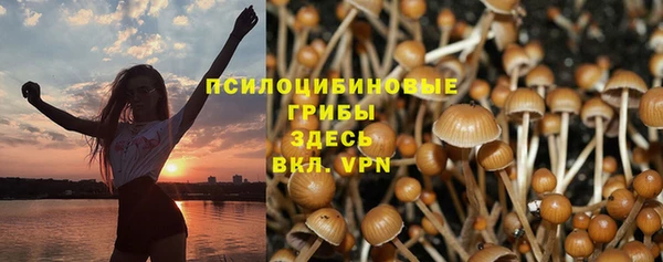 Альфа ПВП Арсеньев